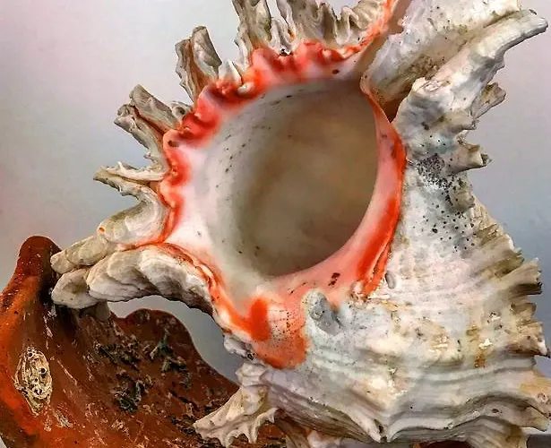 아파트 Duplex Castle Sao Jorge *