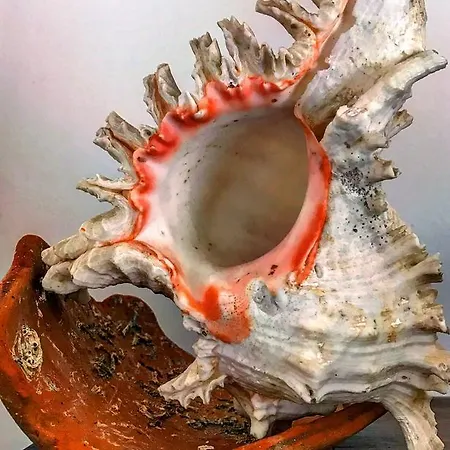 Lägenhet Duplex Castle Sao Jorge *